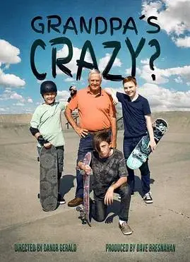 《爷爷的人生滑板》:银发族的热血滑板梦与家庭羁绊